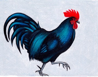 Bright rooster A5 Chickens, hen,