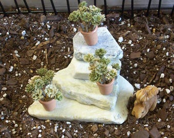 3 Miniature succulant plants with slate stairs, Fairy garden or terrariums
