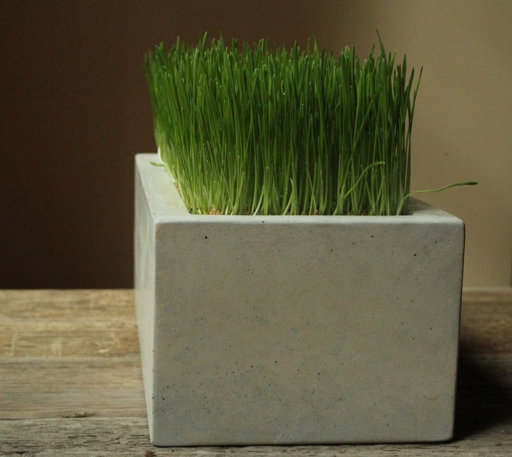 ðzoom. Concrete Box Planter ðzoom. concrete box planter