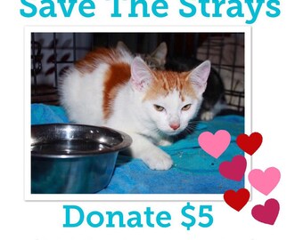Donation to Save The Strays
