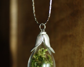Forest moss pendant, terrarium necklace