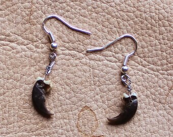 Real raccoon claw earrings on fish hook ear wires