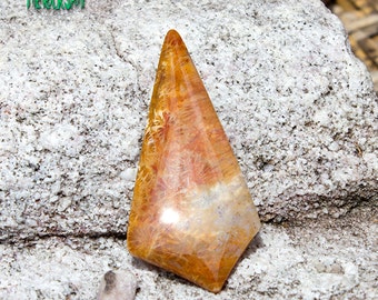 Fossil Coral Cabochon/Agatized Coral/Petrified Coral/Indonesian/Natural Stone/Wire Wrapping/Pendant/Lapidary Art/Orange/Yellow/Cab/Natural
