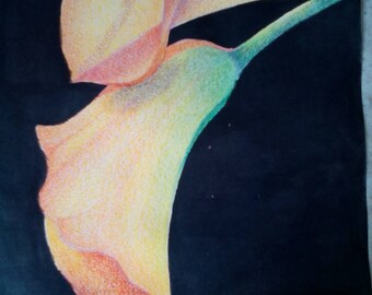 Yellow and Orange Flower