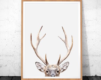 Deer Antlers Print, Deer Print, Deer Wall Art, Animal Print Nursery, Antlers Art Print Deer Head, Deer Antlers, Nursery Decor, Deer Poster