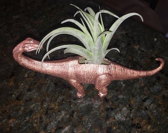 Dinosaur Planter + Air Plant