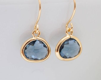 Earrings Blue dark blue Navy navy pierced
