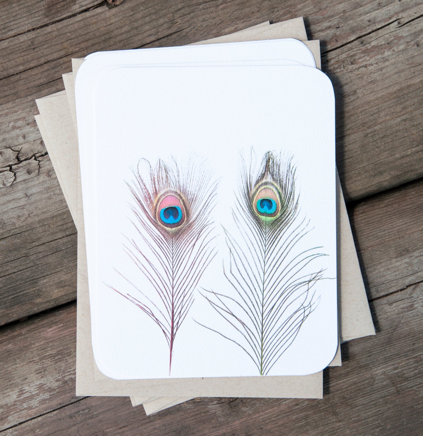 Peacock Feather Blank Cards and Envelopes. Set of Peacock