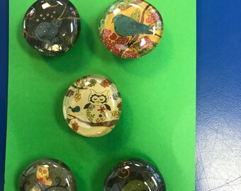 Abstract Animal Glass Marble Magnets