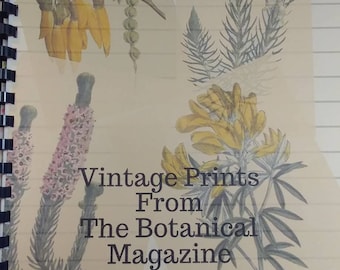 Bound Book of Vintage Botanical Prints
