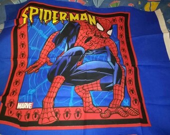 Spiderman pillow Panel