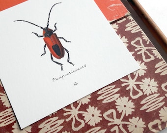 Beetle print, watercolor painting, purpuricenus, giclée print, joke boudens, entomology, photorealistic, wall art, fauna, calligraphy