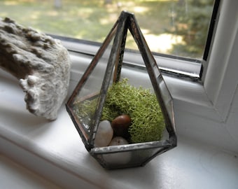 Teeny Tiny Glass Terrarium