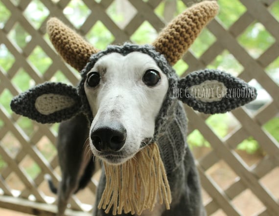 Goat Snood for Greyhounds