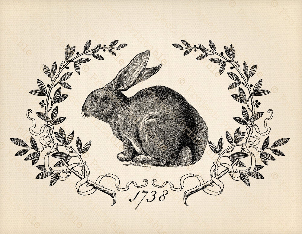 Download Printable Digital Graphics Vintage Bunny HARE RABBIT clip