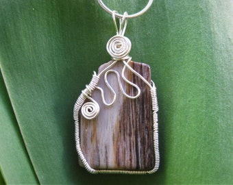 Petrified Wood Wire Wrapped Pendant