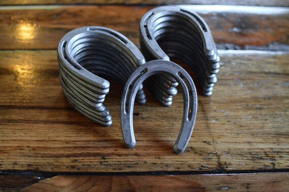 where to buy pony shoes