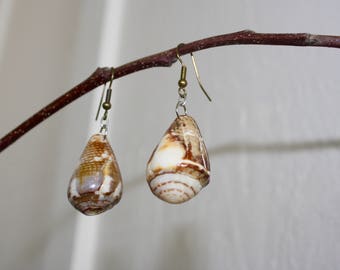 Marbled Cone Shell Earrings