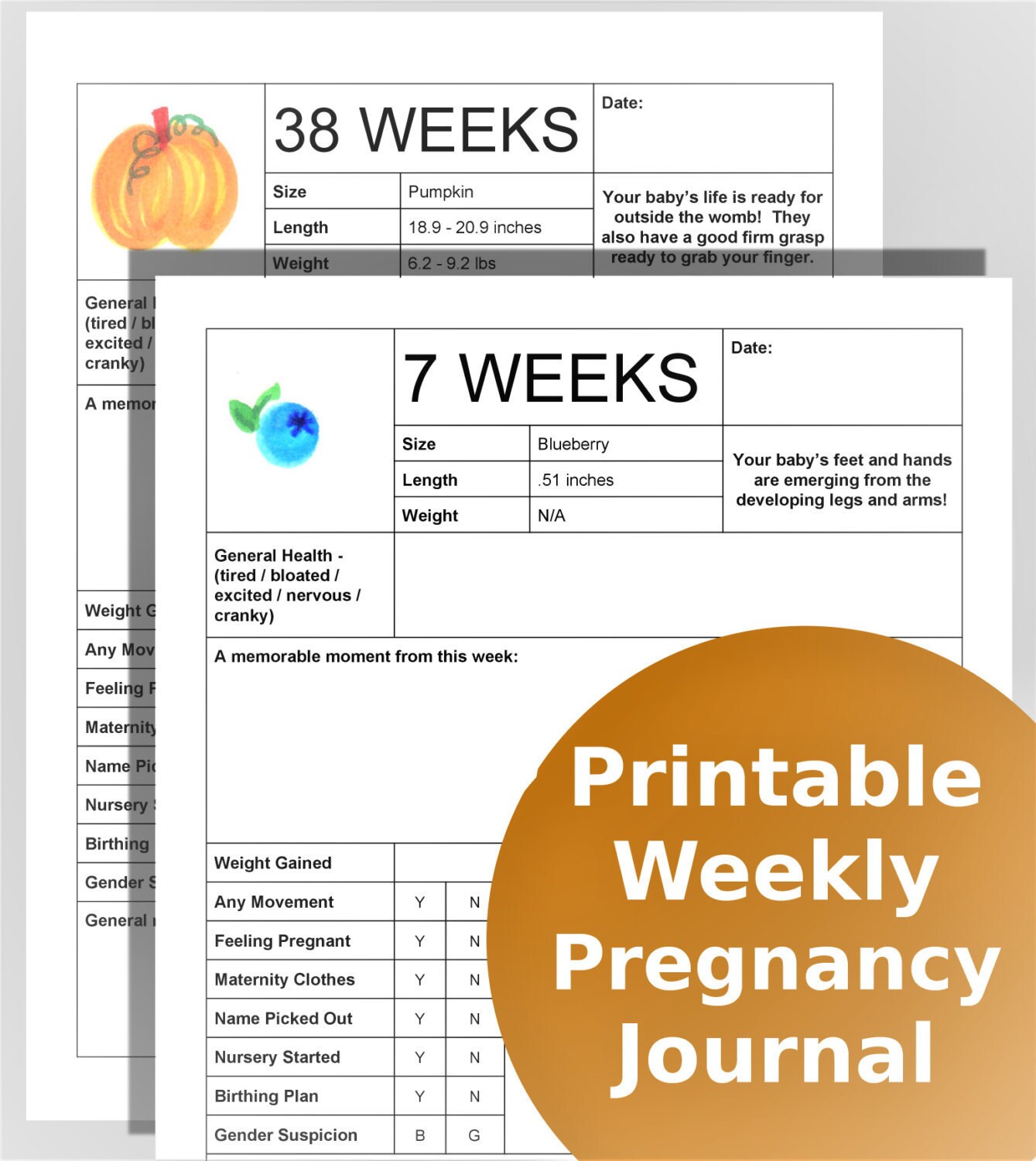 Printable Pregnancy Journal Weeks 5 41 of pregnancy with