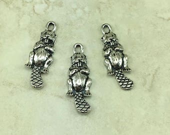 Beaver Charms - Marine Mammal Weasel River Oregon Mascot Wildlife Forest Raw American Made Lead Free Silver Pewter - I ship internationally