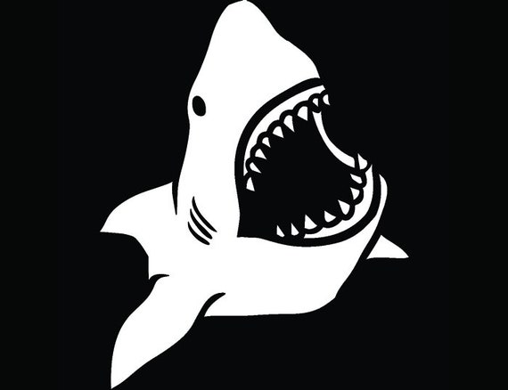 Download Great White Shark 22 Jaws Teeth Attack Fish Prey Ocean