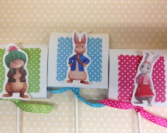 Peter Rabbit Party Lollipop Favors - Set of 10