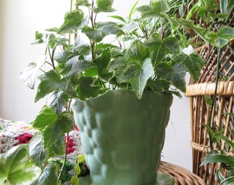 Vintage Mint Green Planter - Scalloped Design