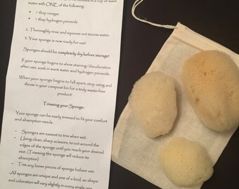 Natural Sea Sponges, Menstrual Care, Waste Free Period, Trial Set of 3 Sponges