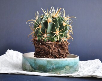 New Green Plant Pot, Pottery Plant Pot, Pottery Planter, Ceramic Plant Pot, Ceramic Planter