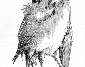 Original art-- Bird 17x7.5 in