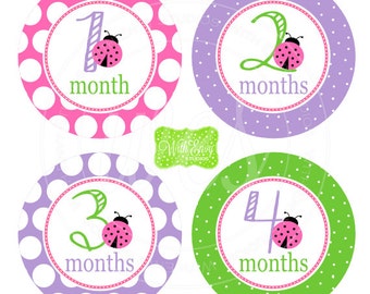 Pink Ladybug Baby Monthly Stickers - Baby Bodysuit Stickers - Monthly Baby Stickers -Girl Monthly Stickers - 003