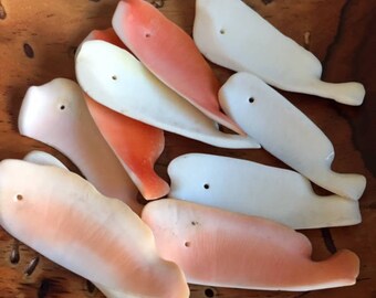 Assorted Drilled Shell Pieces - 10 Pieces