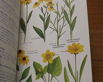 Wild Flowers Book, Vintage Wildflower Field Guide Garden Reference Book by Peterson & McKenny Northeastern Northcentral 1960s Hardback