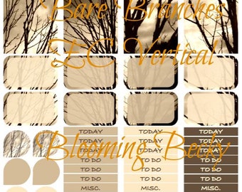 Bare Branches ECV Printable