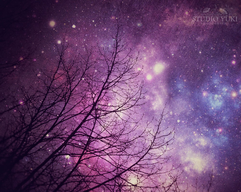 Nature Photography Starry Night Sky Surreal Forest Purple