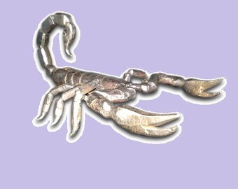 Hand Forged Wrought Iron Metal Sculpture Scorpion, Forged Scorpion, Forged Arachnid, Wrought Iron Arachnid, Gifts for biologist Men, art