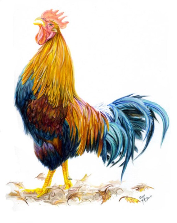 Items similar to Autumn Rooster Chicken Art Print from