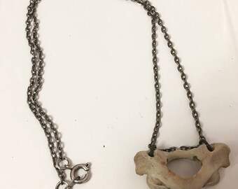 Real Bone Vertebrae Necklace