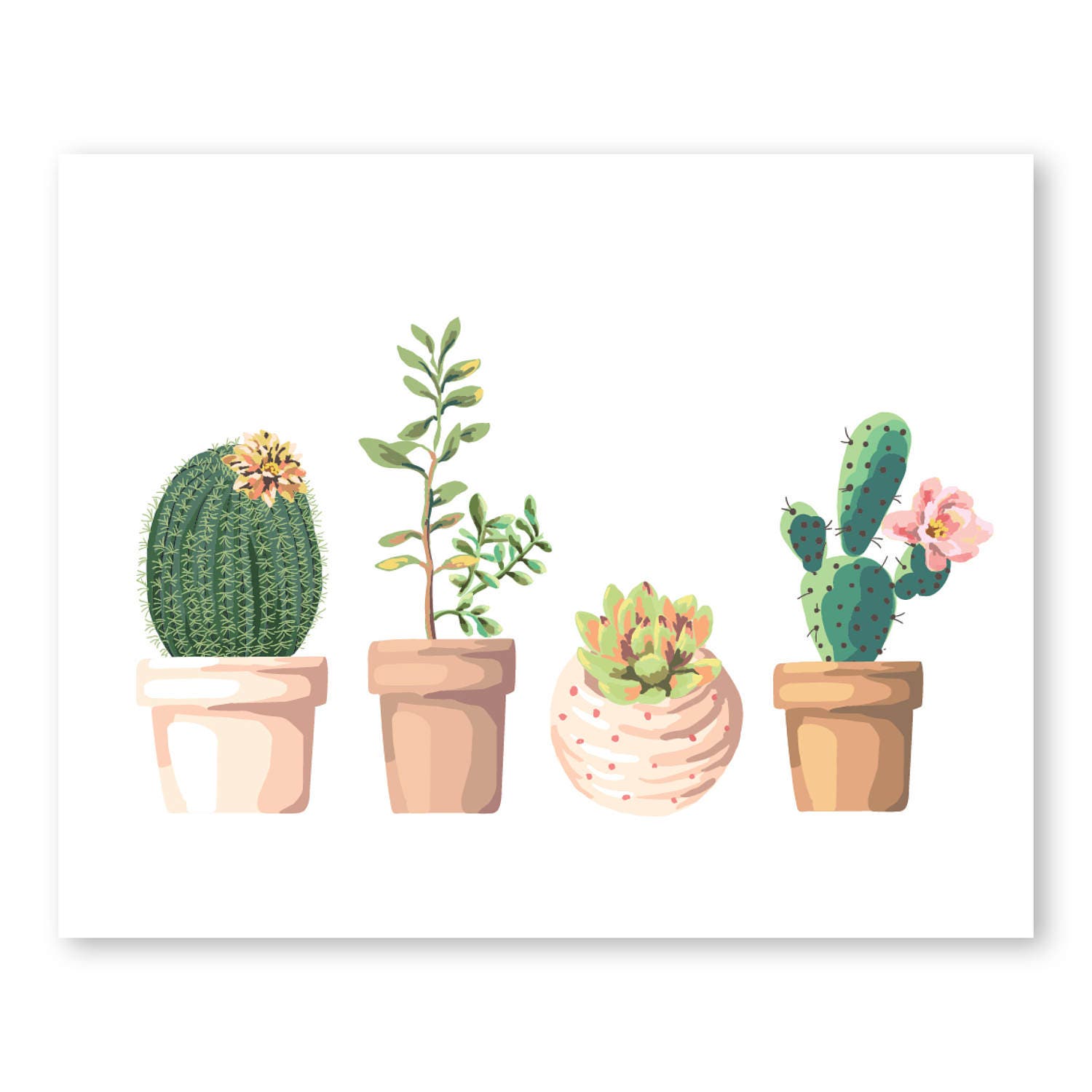 Potted Cactus Art Succulent Illustration Succulent Print