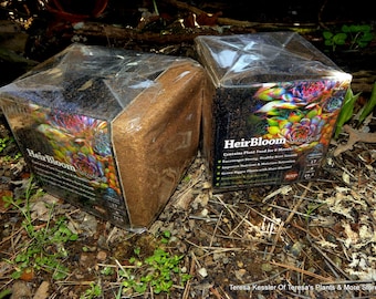 Smaller sandwich bag of Sedum-succulent-Cactus soil-Eco friendly and sustainable