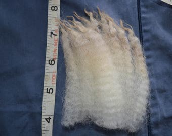 Raw Wool - Gulf Coast Native Cross