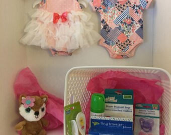 Baby Girl Shower Basket - Little Beginnings