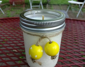 Citronella & a hint of Lemongrass Soy Candle