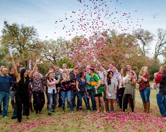 Ships Same Day! 12 Inch Confetti Cannon Gender Reveal Confetti Cannon Gender Reveal Cannon Fast Shipping!