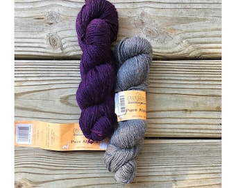 2Skeins Casacade Yarns 100% Alpaca!