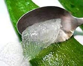 Aloe Vera Concentrate 1:10 to make natural cosmetics 30 ml.