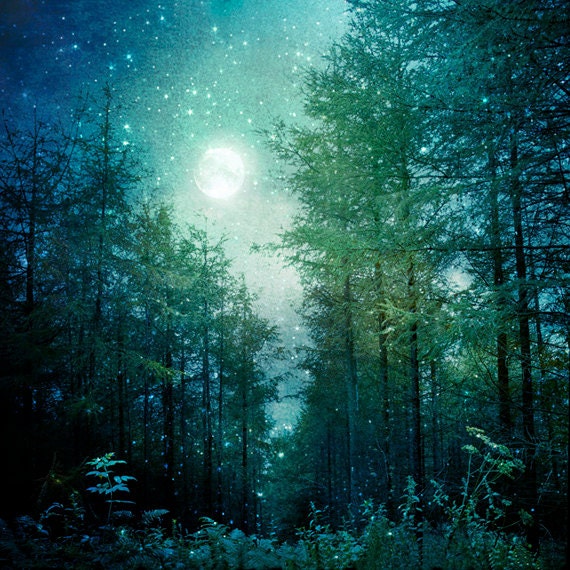 Nature Photography Enchanted Forest Trees Moon and Stars