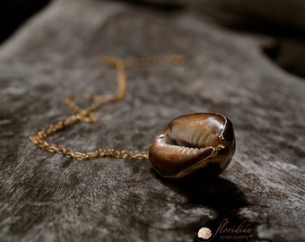 Golden Cowrie Sea Shell necklace