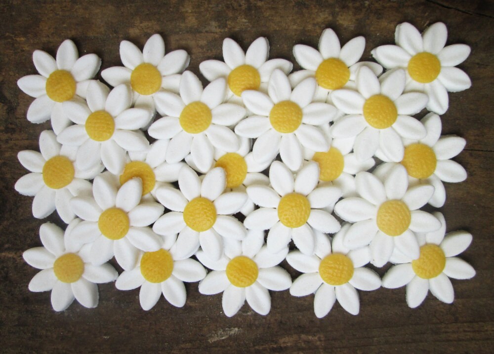 Fondant Daisies 24 fondant daisy flower sugar daisies