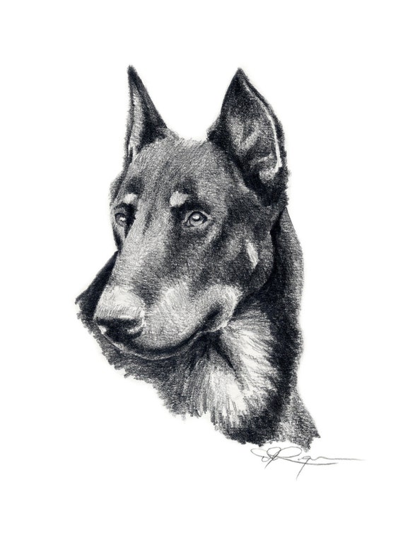 Download BEAUCERON Dog Art Print Signed by Artist DJ Rogers